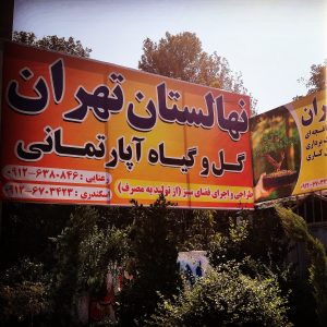 عرضه انواع نهال-درخت و گل و گیاه-گل های باغچه ای و آپارتمانی-سایت تبلیغاتی مشاغل تهران