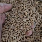 تولید و فروش روغن های سالم و ارگانیک در تهران با ارسال سراسر ایران