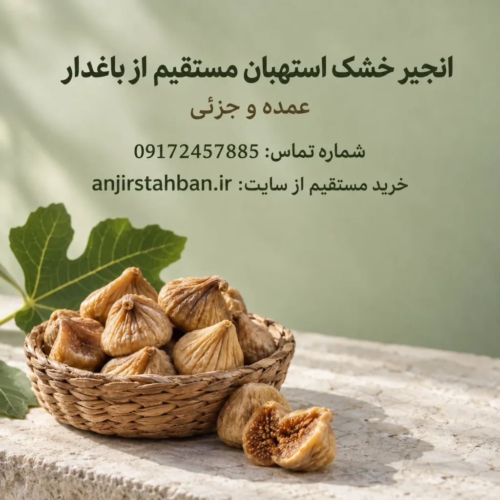 انجیر خشک درجه یک استهبان | انجیر خشک عمده و جزیی